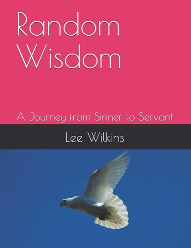 Random Wisdom A Journey from Sinner to Servant