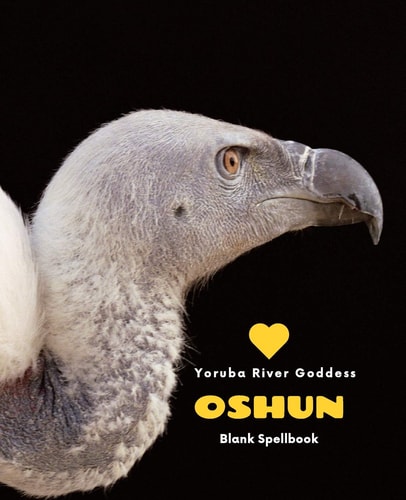 Love Oshun Yoruba River Goddess Spellbook