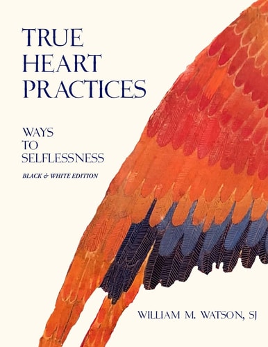 True Heart Practices Ways To Selflessness Leader Resources Edition