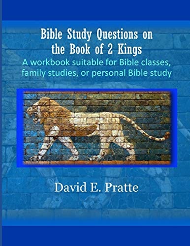Bible Study Questions on the Book of 2 Kings A Workbook Suitable for Bible Classes, Family Studies, Or Personal Bible Study