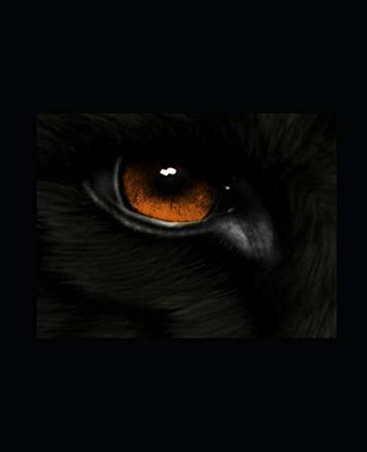 Wolf Aftermath: Book 6 of the WOLF Series.