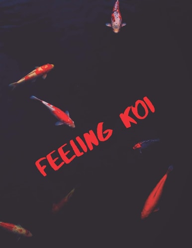 Feeling Koi