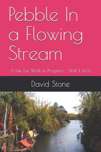 Pebble In a Flowing Stream A Life (or Work in Progress - Until It Isn't)