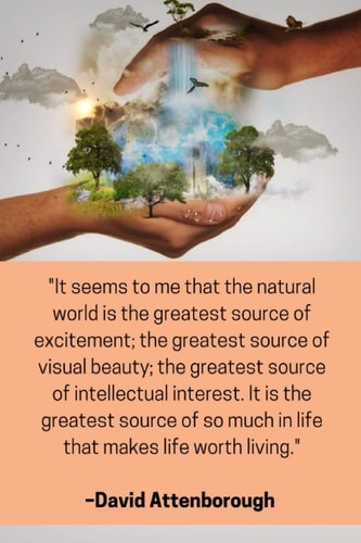 ''It Seems to Me That the Natural World Is the Greatest Source of Excitement; the Greatest Source of Visual Beauty; the Greatest Source of Intellectual Interest. It Is the Greatest Source of So Much in Life That Makes Life Worth Living'' - Attenborough