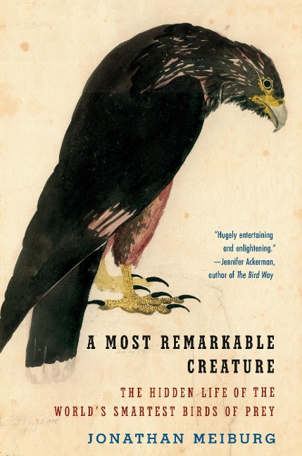 A Most Remarkable Creature: The Hidden Life of the Worlds Smartest Birds of Prey