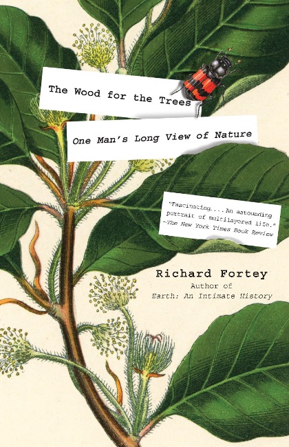 The Wood for the Trees: One Mans Long View of Nature