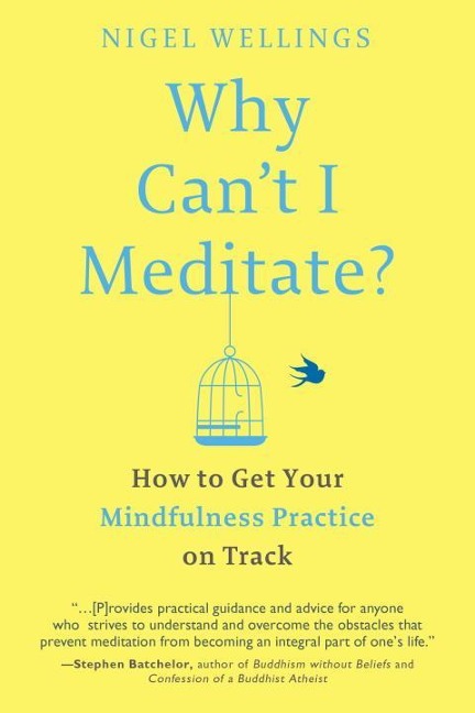 Why Cant I Meditate?: How to Get Your Mindfulness Practice on Track