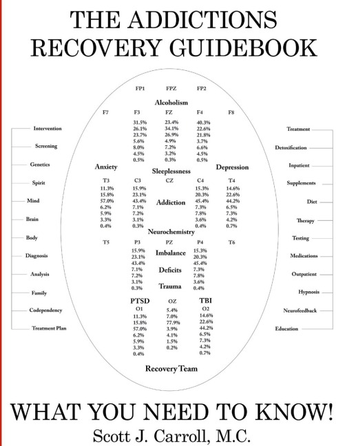 THE ADDICTIONS  RECOVERY GUIDEBOOK: WHAT YOU NEED TO KNOW!