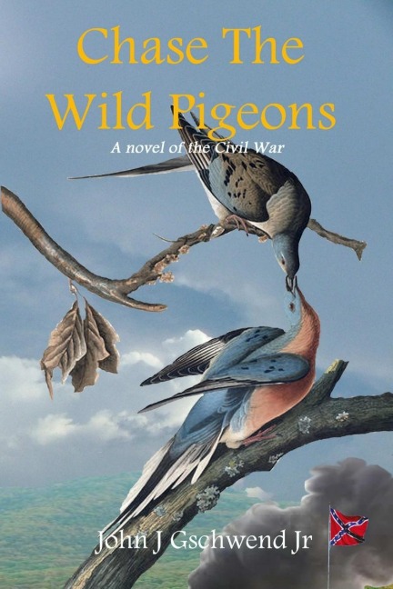 Chase The Wild Pigeons: A Novel of the Civil War
