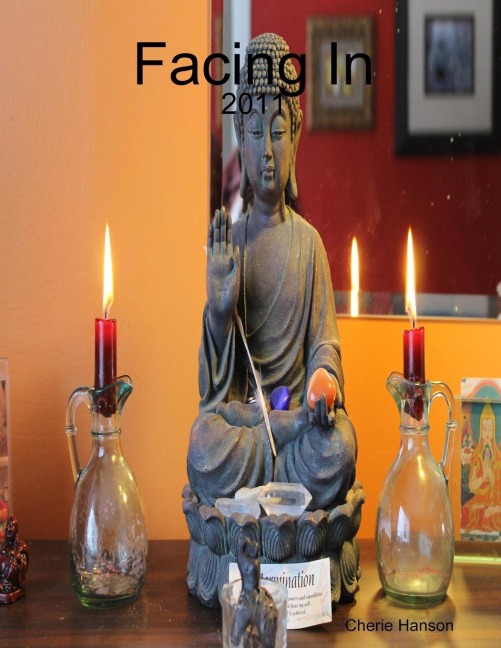 Facing In: 2011