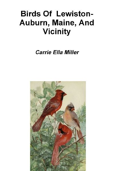 Birds Of  Lewiston-Auburn, Maine, And Vicinity
