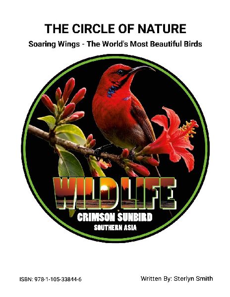 The Circle of Nature (Soaring Wings - The World's Most Beautiful Birds)