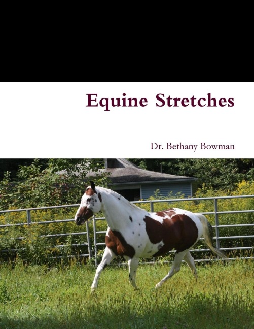 Equine Stretches