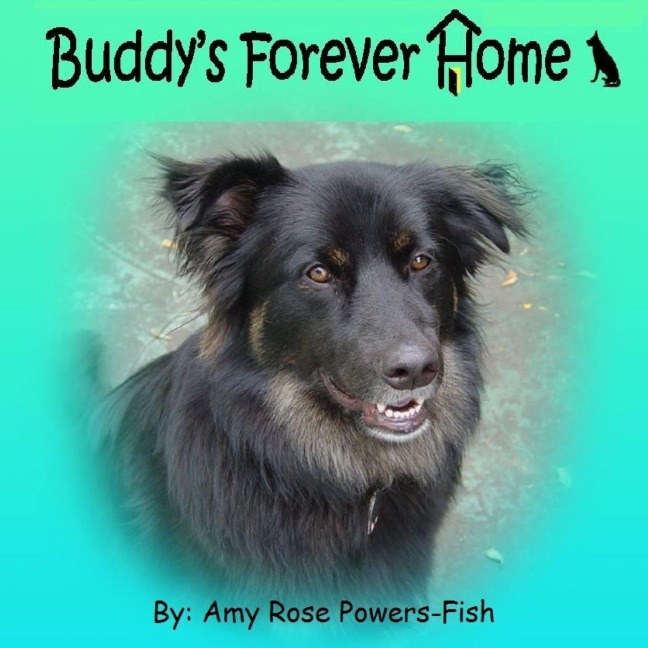 Buddys Forever Home