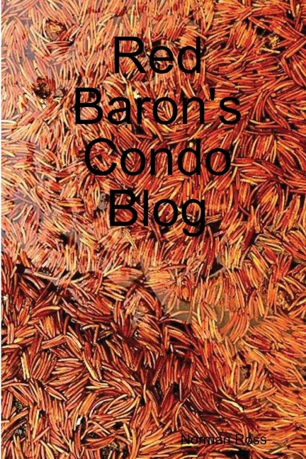 Red Barons Condo Blog