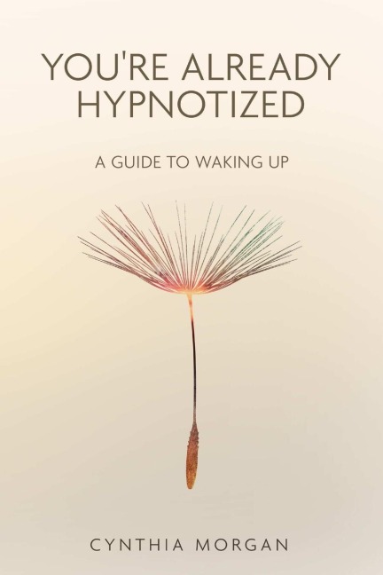 Youre Already Hypnotized: A Guide to Waking Up