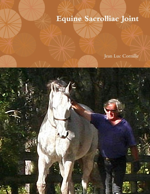 Equine Sacrolliac Joint