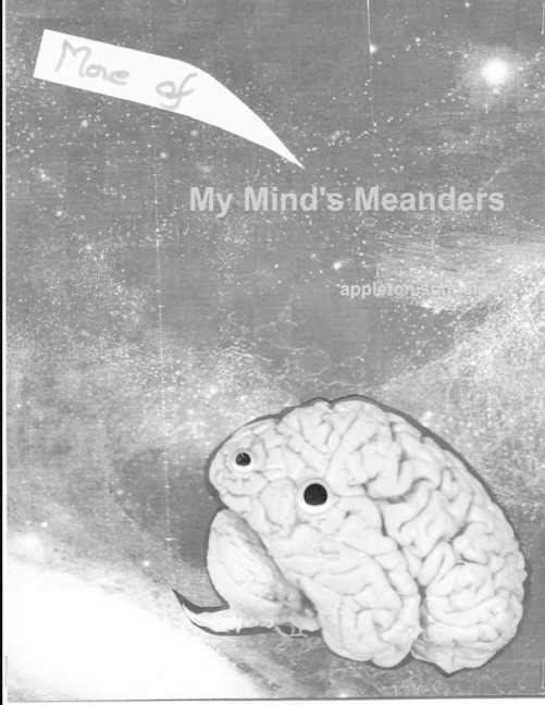 More Mind Meanders (Mine)