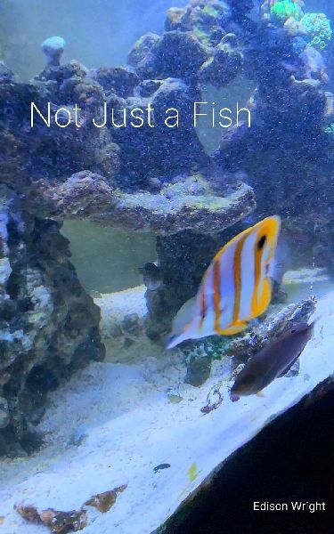 Not Just a Fish