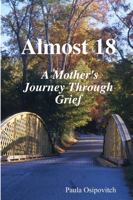 Almost 18  A Mothers Journey Through Grief 