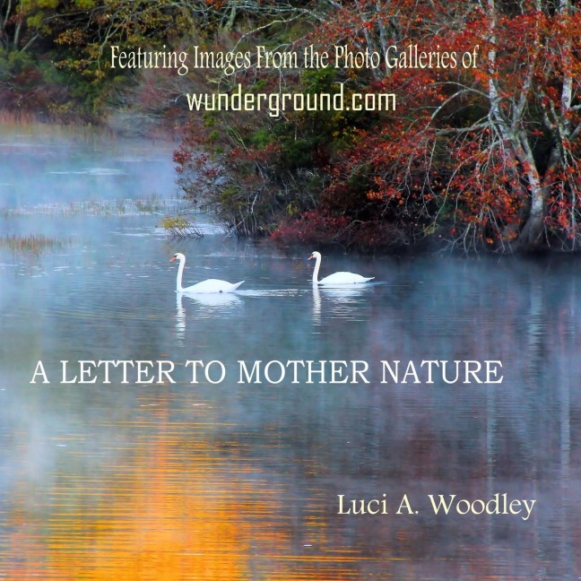 A Letter to Mother Nature: Words of Gratitude