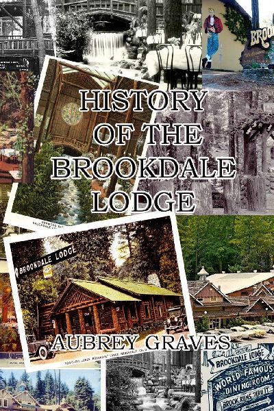 History of the Brookdale Lodge
