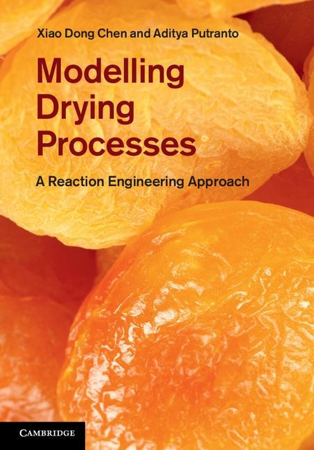 Modeling Drying Processes