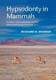 Hypsodonty in Mammals: Evolution, Geomorphology, and the Role of Earth Surface Processes