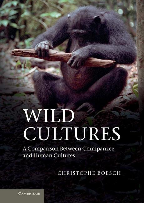 Wild Cultures: A Comparison Between Chimpanzee and Human Cultures