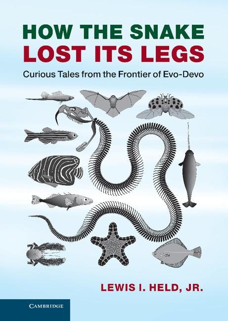 How the Snake Lost Its Legs: Curious Tales from the Frontier of Evo-Devo