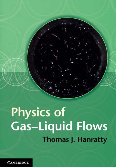 Physics of Gas-Liquid Flows