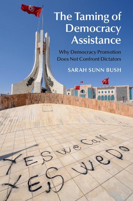 The Taming of Democracy Assistance