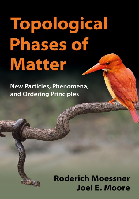 Topological Phases of Matter