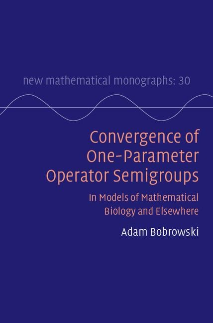 Convergence of One-parameter Operator Semigroups
