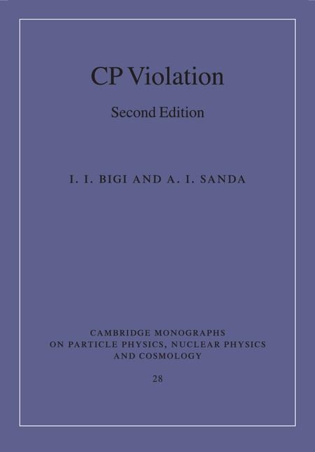 CP Violation