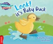 Cambridge Reading Adventures Look! Its Baby Duck Red Band