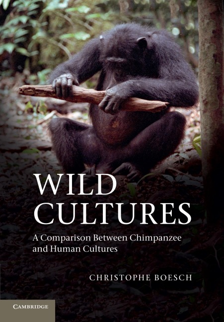 Wild Cultures: A Comparison Between Chimpanzee and Human Cultures