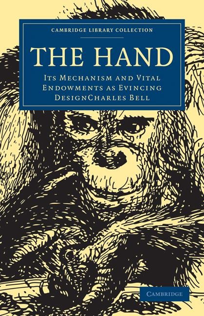 The Hand