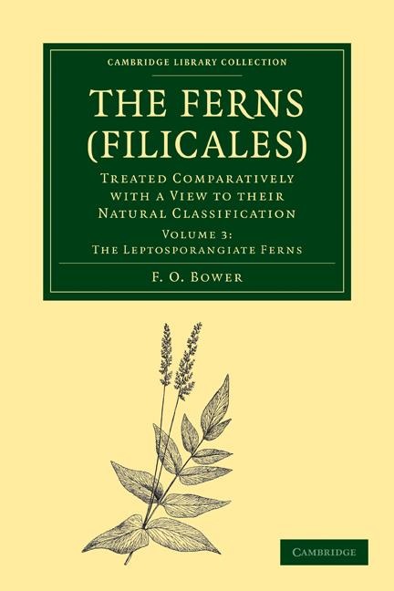 The Ferns (Filicales): Volume 3, the Leptosporangiate Ferns: Treated Comparatively with a View to Their Natural Classification