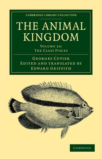 The Animal Kingdom - Volume 10