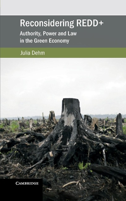 Reconsidering REDD+