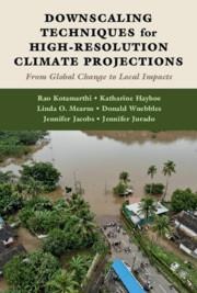 Downscaling Techniques for High-Resolution Climate Projections: From Global Change to Local Impacts