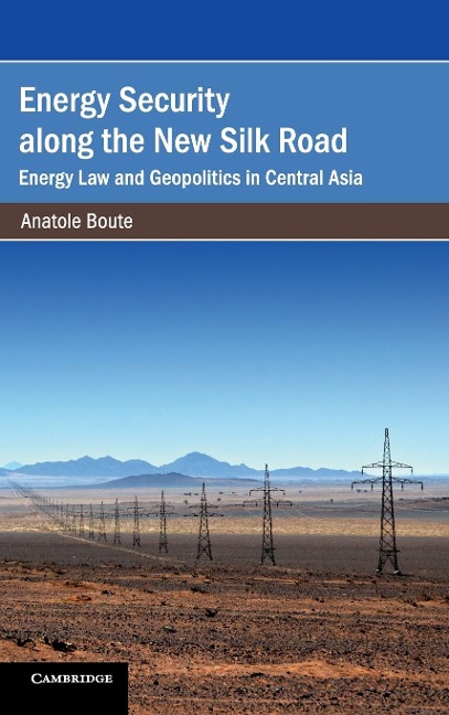 Energy Security along the New Silk Road