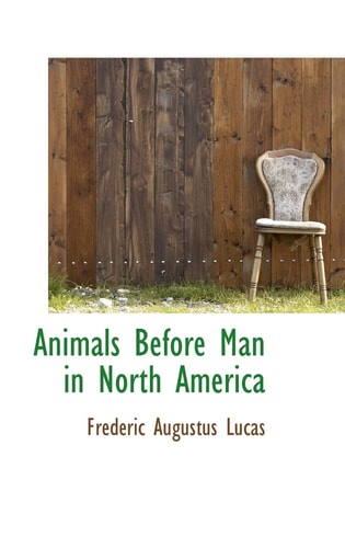 Animals Before Man in North America