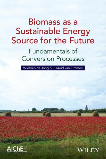 Biomass as a Sustainable Energy Source for the Future: Fundamentals of Conversion Processes