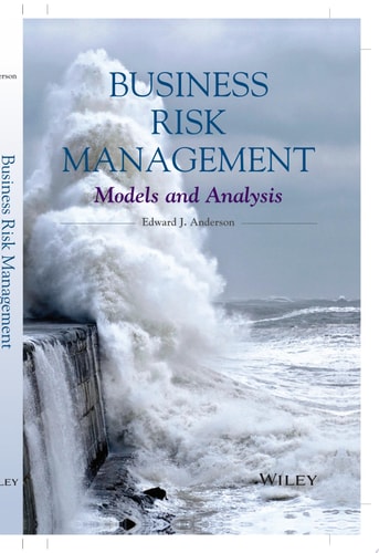 Business Risk Management Models and Analysis