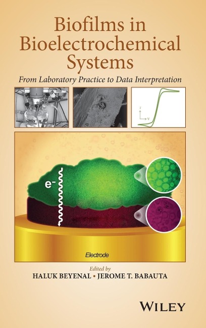 Biofilms in Bioelectrochemical Systems: From Laboratory Practice to Data Interpretation