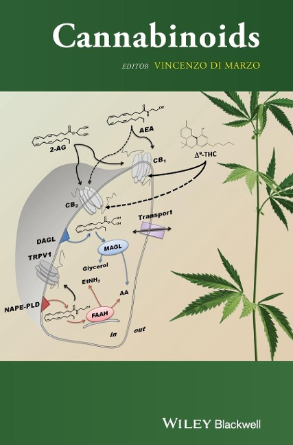 Cannabinoids