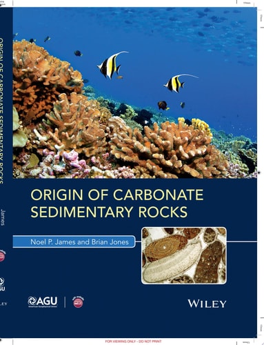 Origin of Carbonate Sedimentary Rocks