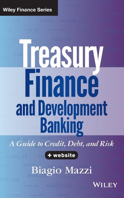 Treasury Finance and Development Banking, + Website: A Guide to Credit, Debt, and Risk